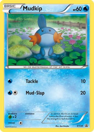 Mudkip (XY38) [XY: Promos Black Star] 