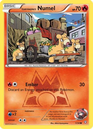 Numel de Team Magma (1/34) [XY : Double Crise] 