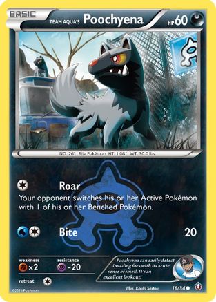 Poochyena de l'équipe Aqua (16/34) [XY : Double Crise] 