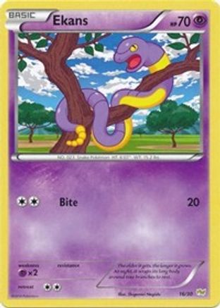 Ekans (16/30) [XY : Kit d'entraînement - Noivern] 