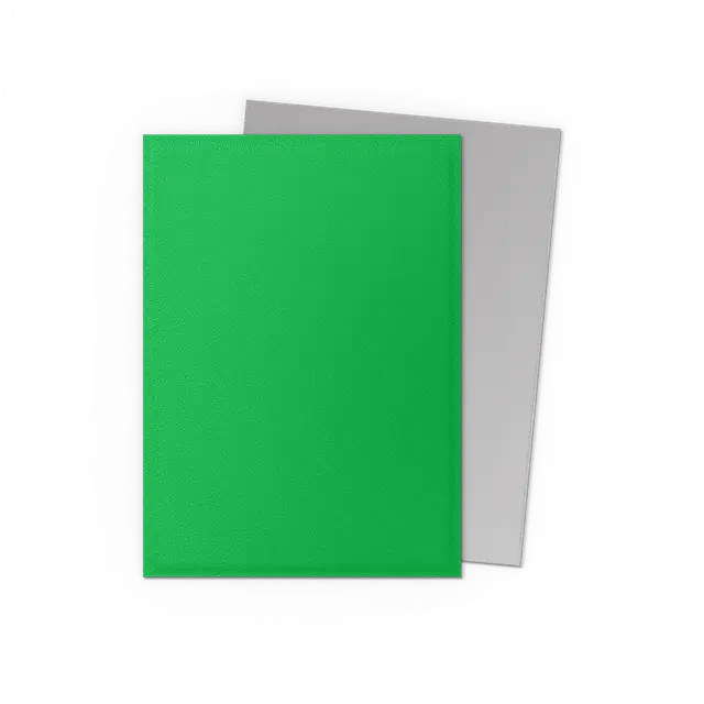 Dragon Shield Matte Dual Sleeves Apple Green & Silver