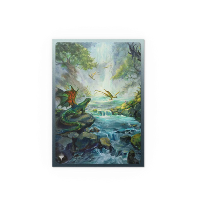 Dragon Shield MTG Landfall Series Misty Rainforest