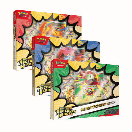 Ascended Heroes Mega Meganium/Emboar/Feraligatr ex Box