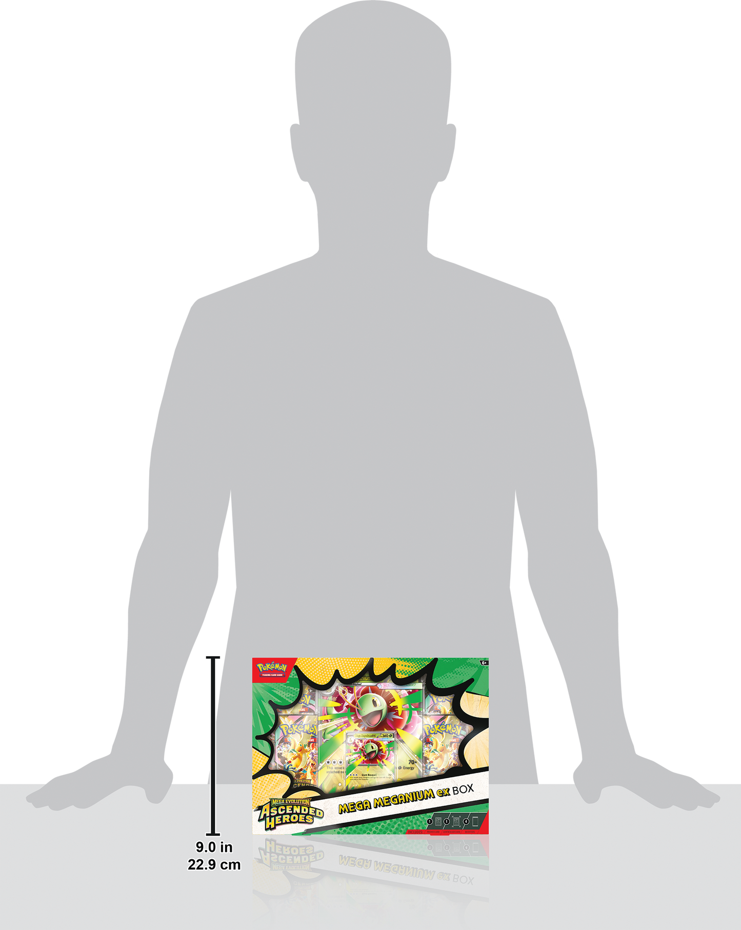 Ascended Heroes Mega Meganium/Emboar/Feraligatr ex Box