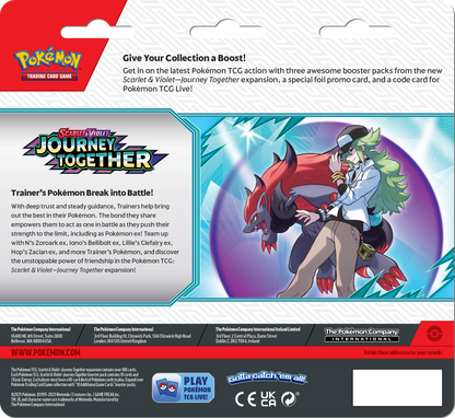 Journey Together 3-Pack Blister