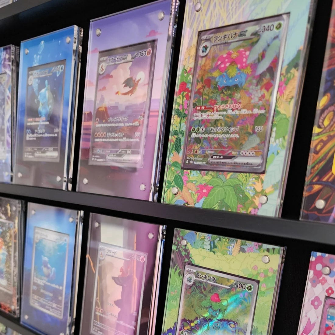 CardAura Extended Art Case