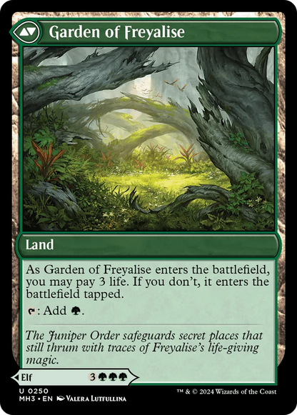 Disciple of Freyalise // Garden of Freyalise (MH3-250) - [Modern Horizons 3] - Emmett's ToyStop